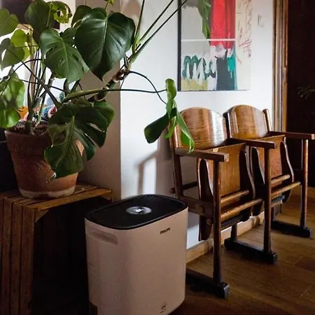 Apartamento Roentgena 12 - Przestronny I Stylowy, Zielona Ulica W Centrum Breslavia