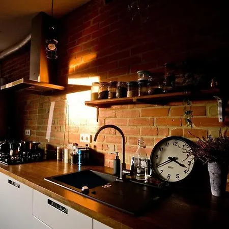 Apartment Roentgena 12 - Przestronny I Stylowy, Zielona Ulica W Centrum