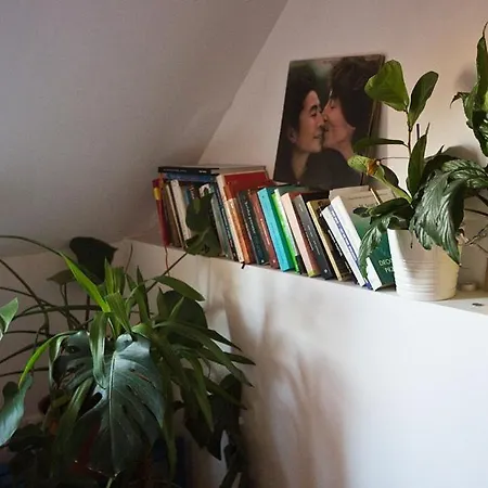 Roentgena 12 - Przestronny I Stylowy, Zielona Ulica W Centrum Apartment